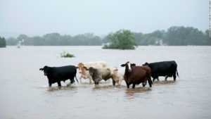 Disaster Assistance Seminar @ Raywood Livestock Market | Raywood | Texas | United States