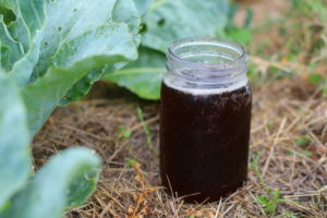 FARM Hacks- Compost Tea @ F.A.R.M. | Dallas | Texas | United States