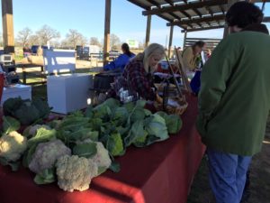 Farmers Market Hands On Learning Series Part 3- Market Day @ Millican Reserve | College Station | Texas | United States