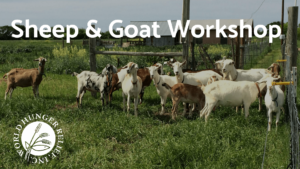 Sheep & Goat Workshop @ World Hunger Relief | Waco | Texas | United States