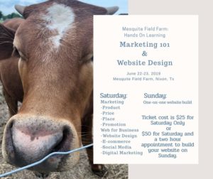 Marketing 101 & Website Design @ Mesquite Field Farm