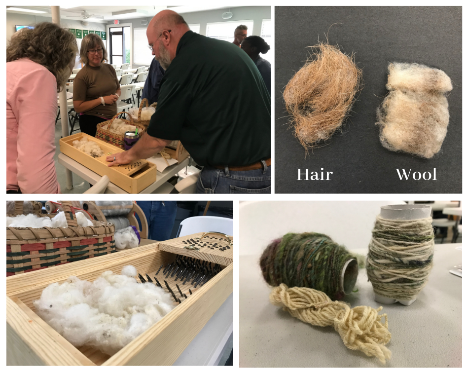 Photo collage of wool and hair in sheep