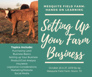 Setting Up Your Farm Business @ Mesquite Field Farm