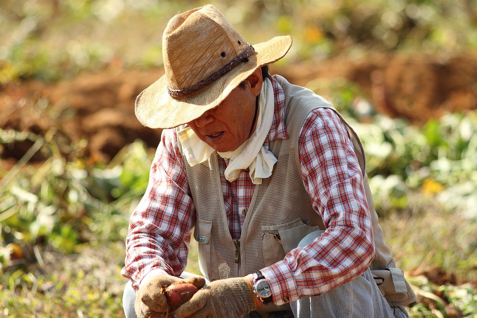 Photo of a farmer sitting down in a field with a vegetable in his hand