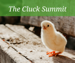 The Cluck Summit @ Mesquite Field Farm