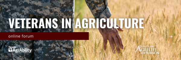 Photo of military man in fatigues walking through wheat field.  Reads "Veterans in Agriculture Online Forum"