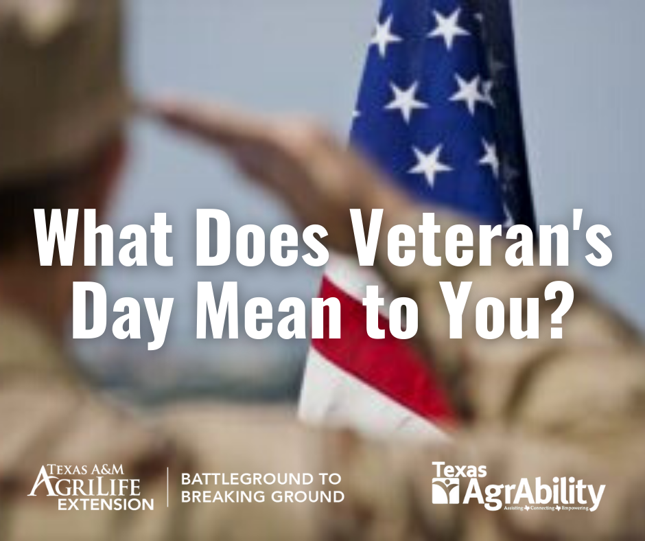 What Does Veterans Day Mean to You?